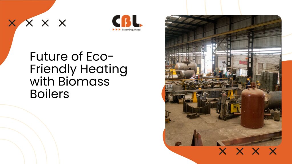 Future of Eco-Friendly Heating with Biomass Boilers