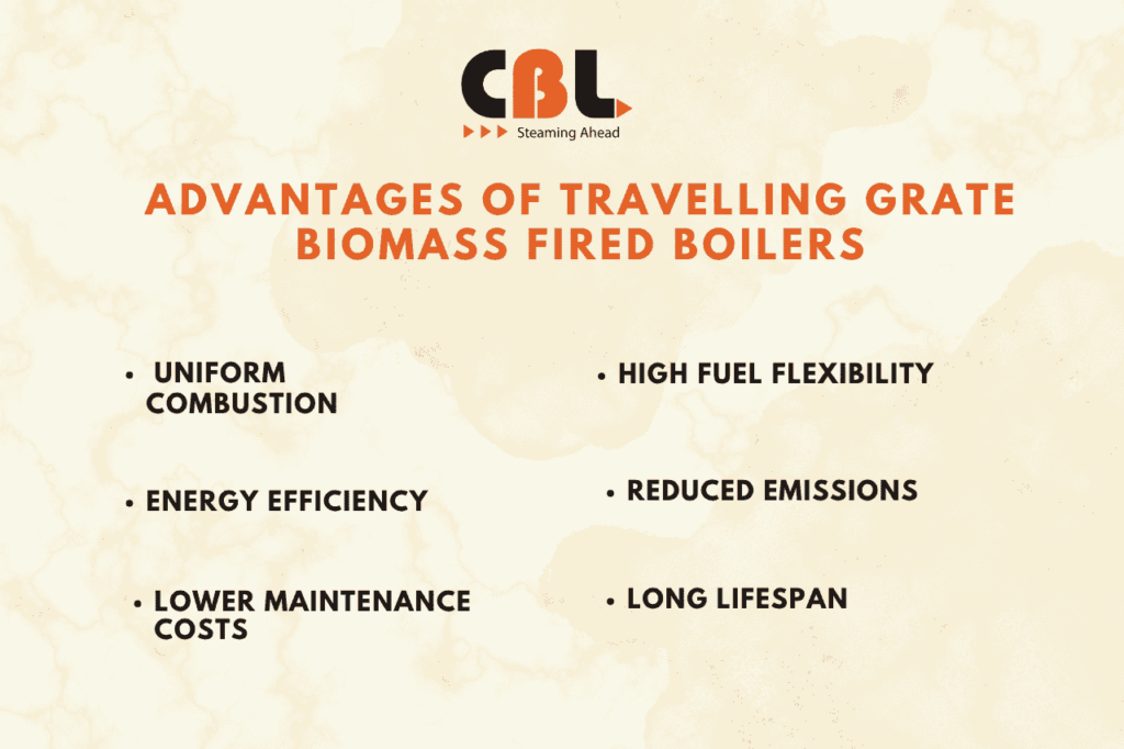 Advantages of Travelling Grate Biomass Fired Boilers