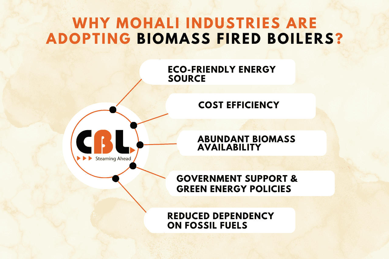 Why Mohali Industries Are Adopting Biomass Fired Boilers